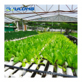 Système hydroponique des tubes PVC de l'agriculture verticale NFT